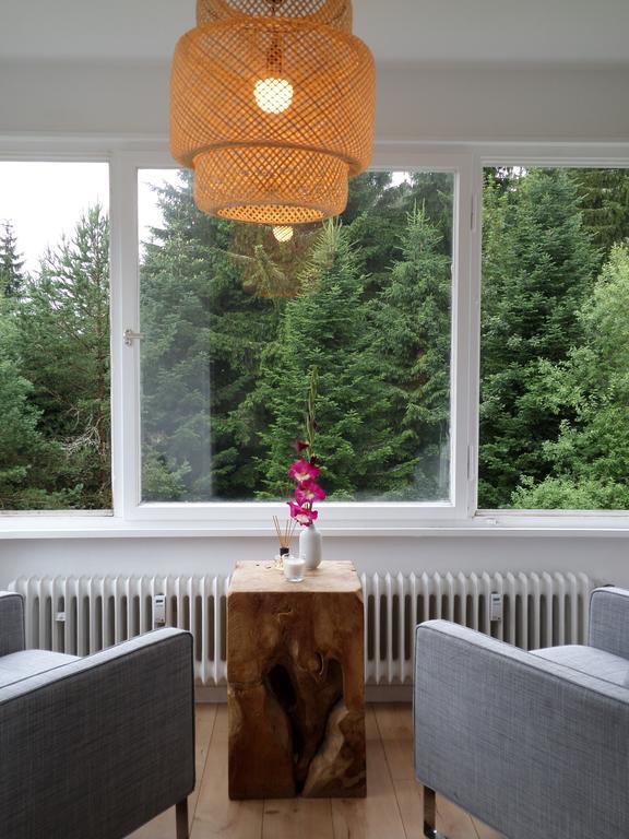 Ferienwohnung Boerner Kniebis Bagian luar foto