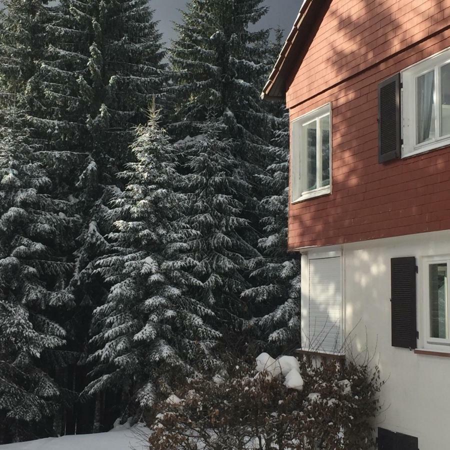 Ferienwohnung Boerner Kniebis Bagian luar foto